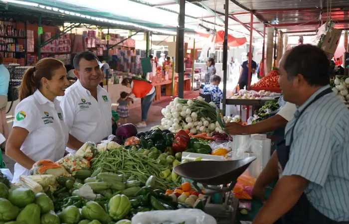 marketing-político-recorrido-tianguis-constantino-ortíz-garcía-pvem-4